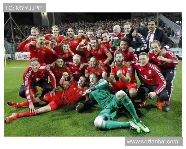 威尔士足球传奇球星盘点及其在国际赛场的辉煌表现