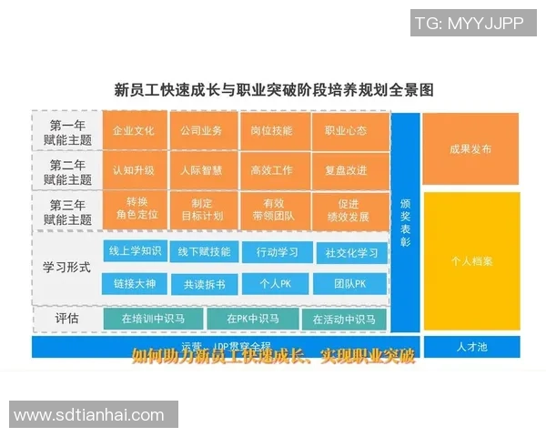 构建足球球星系统全景图探索运动员成长路径与职业生涯规划