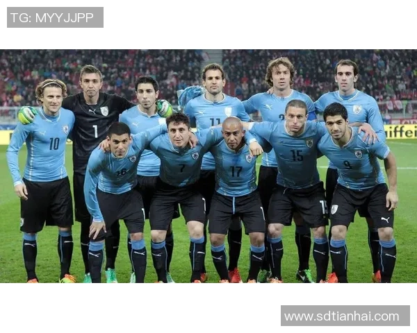 球星精彩解说带你全景解析绿茵场上的战术变化与进球瞬间