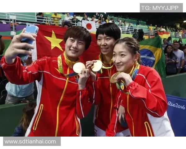 篮球足球乒乓球三大球类运动明星的成长历程与辉煌成就解析